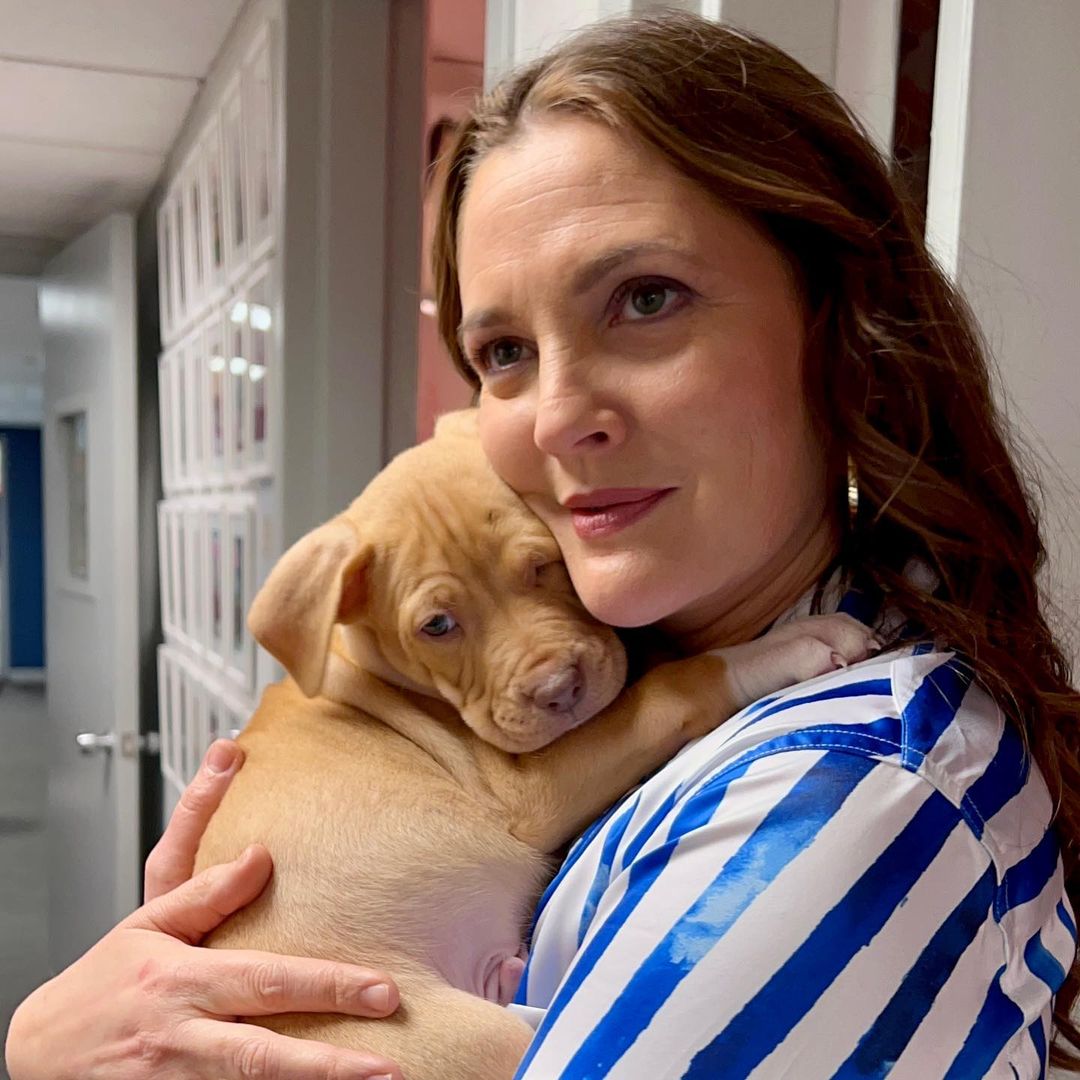 Бунтарка с ангельской внешностью: как менялась с годами Дрю Бэрримор