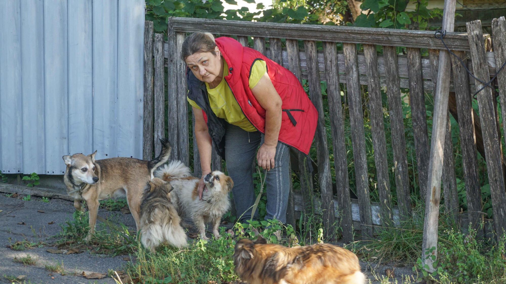 Переселенка з Донбасу врятувала понад 40 тварин: всіх забрала з собою в безпечне місце