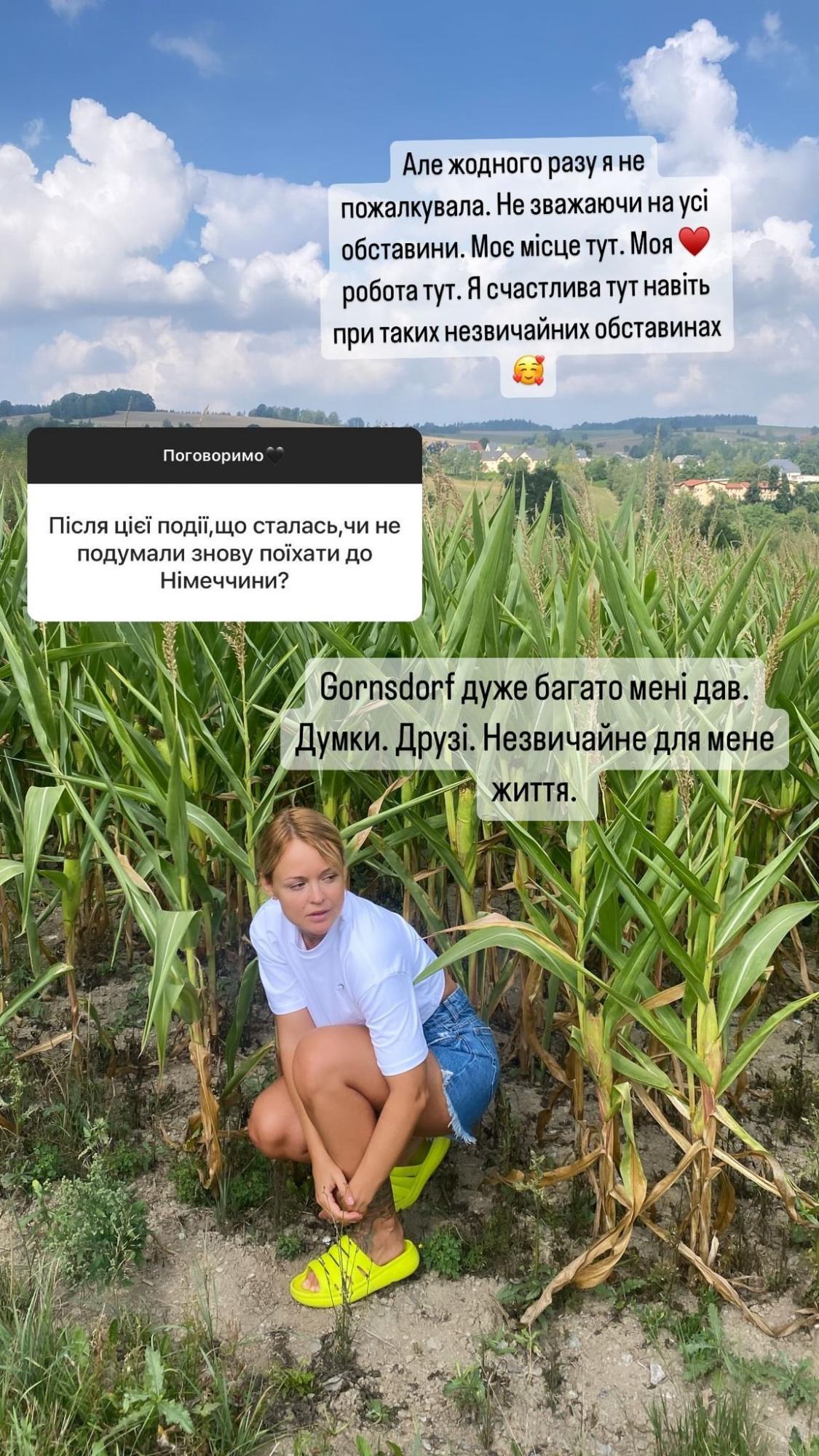 "Пережили і це головне". У будинок відомої акторки влучили уламки ворожого "шахеда" (фото)