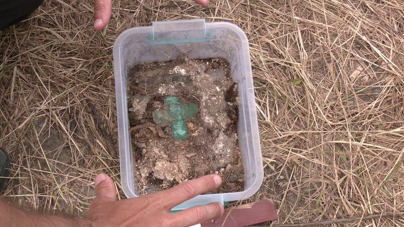 Под Ровно археологи обнаружили редкие захоронения с монетами и медальоном ХVIIІ века (фото)