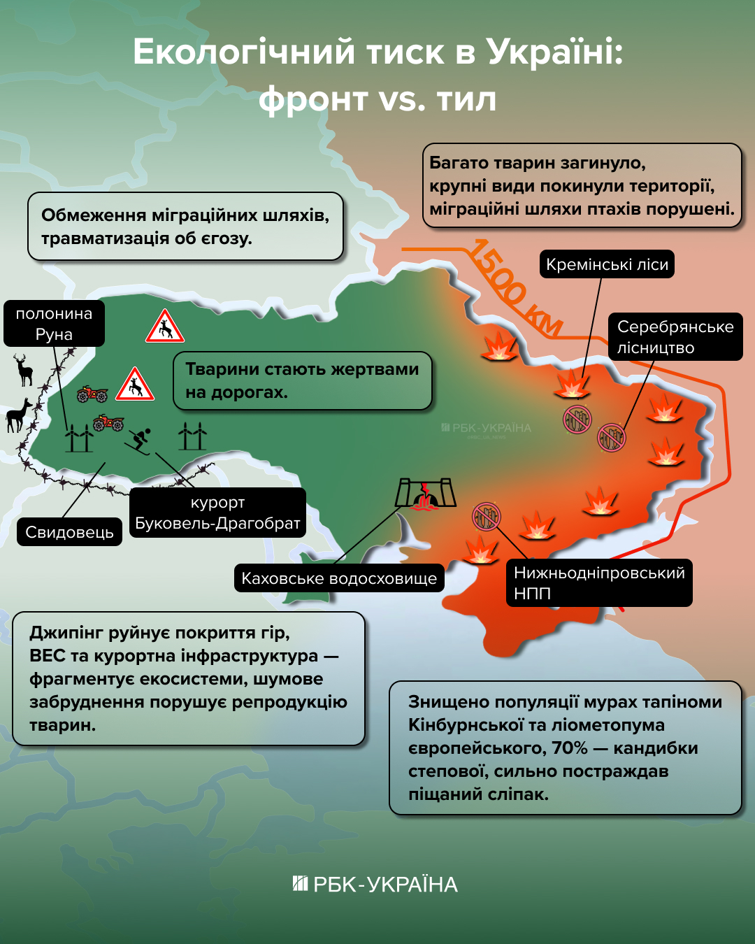 Животные убегают, а леса застраивают: что на самом деле происходит в Карпатах во время войны
