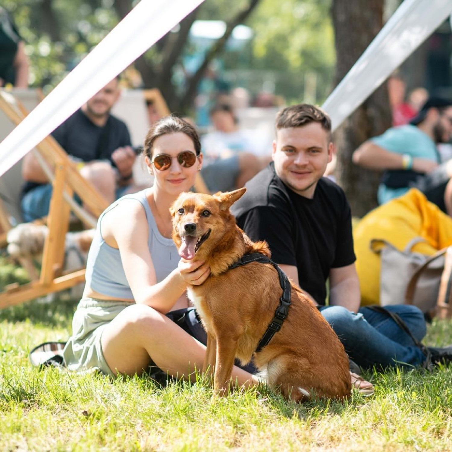 От К-Pop Fest до Макса Барских. Куда стоит пойти в Киеве в августе
