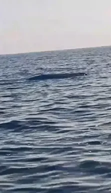 Sea drone discovered off the coast of Türkiye