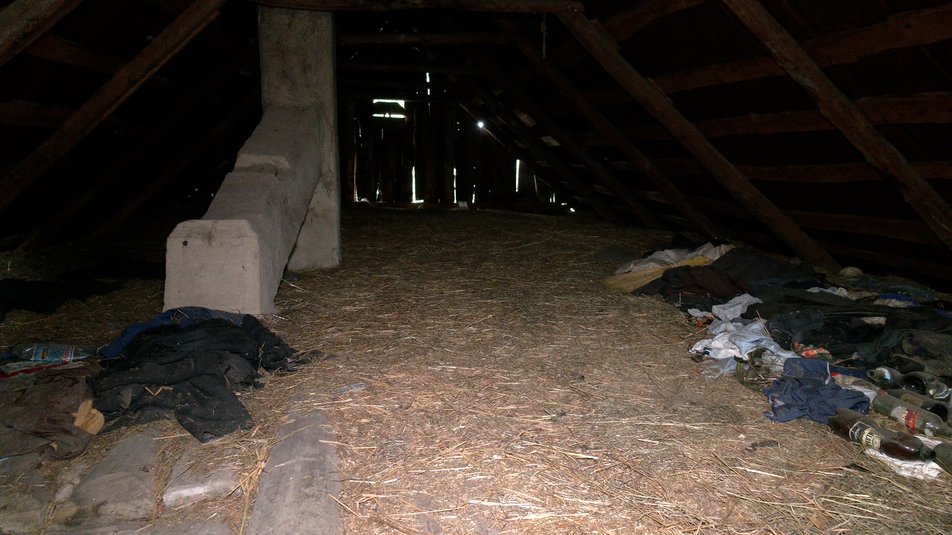 Під Рівним випадково виявили оригінали гравюр члена ОУН Ніла Хасевича: як вони виглядають