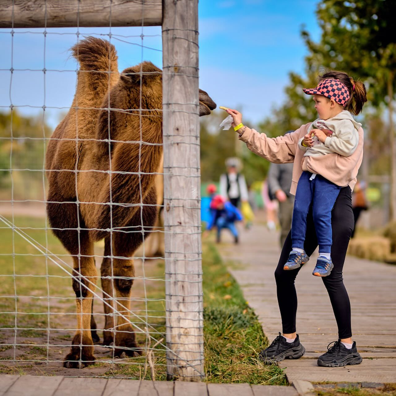 До години їзди. Топ-5 цікавих локацій поблизу Києва для відпочинку на вихідні