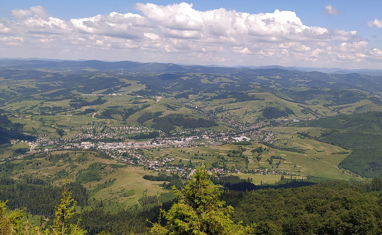Міфи і факти про продаж земель Боржави: свавілля влади, нечесна конкуренція і збитки для держави