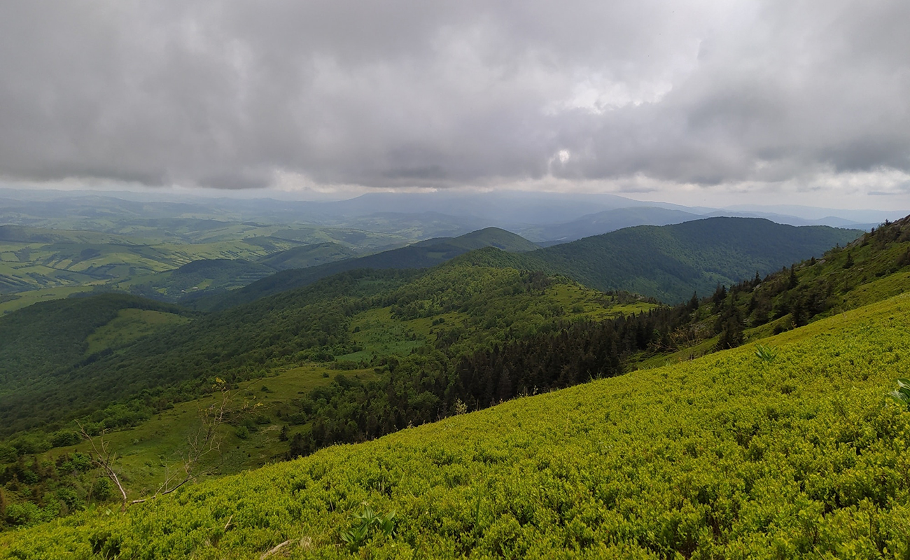 Міфи і факти про продаж земель Боржави: свавілля влади, нечесна конкуренція і збитки для держави