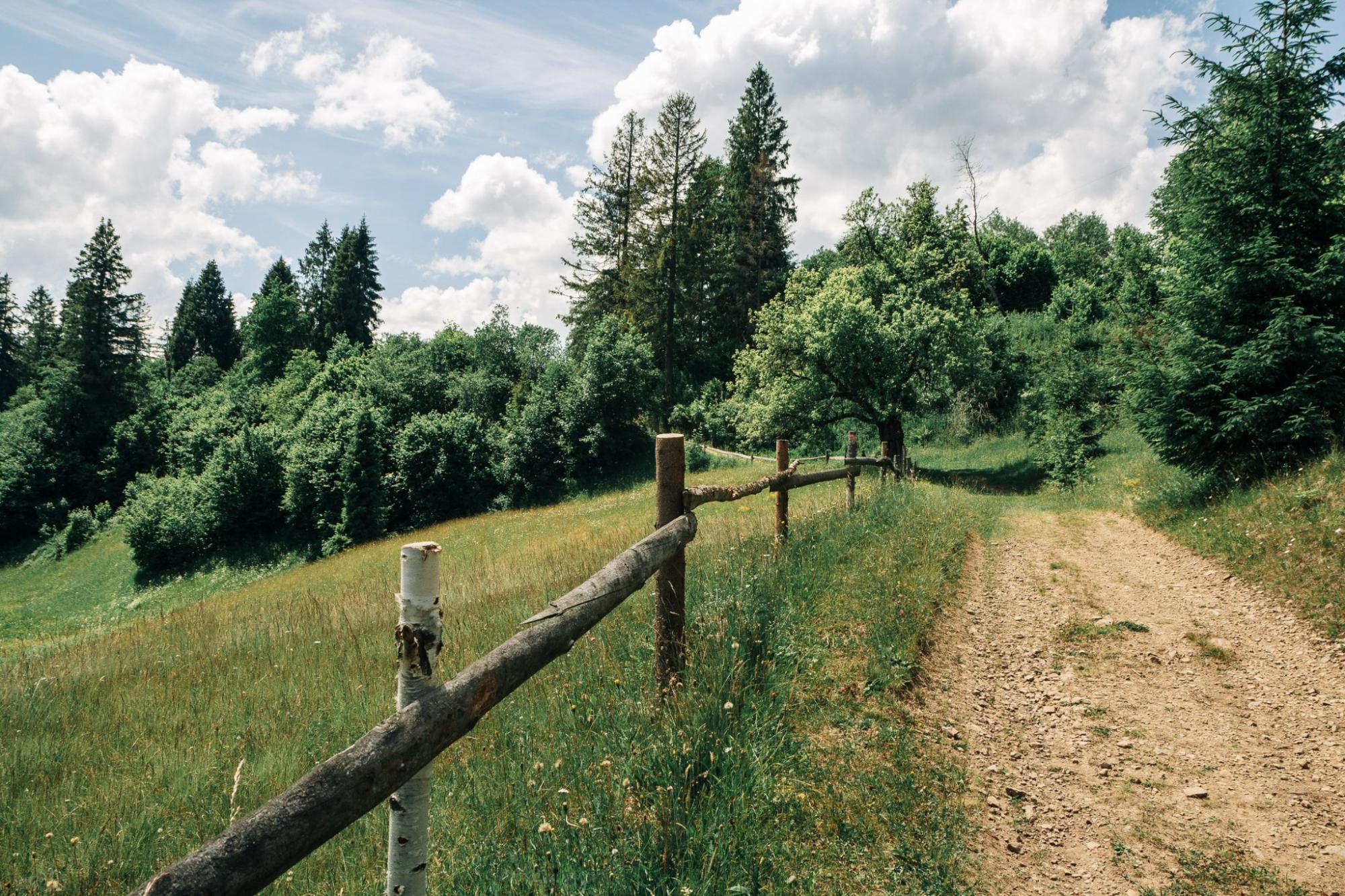 Де безпечно відпочивати у Львівській області: список локацій