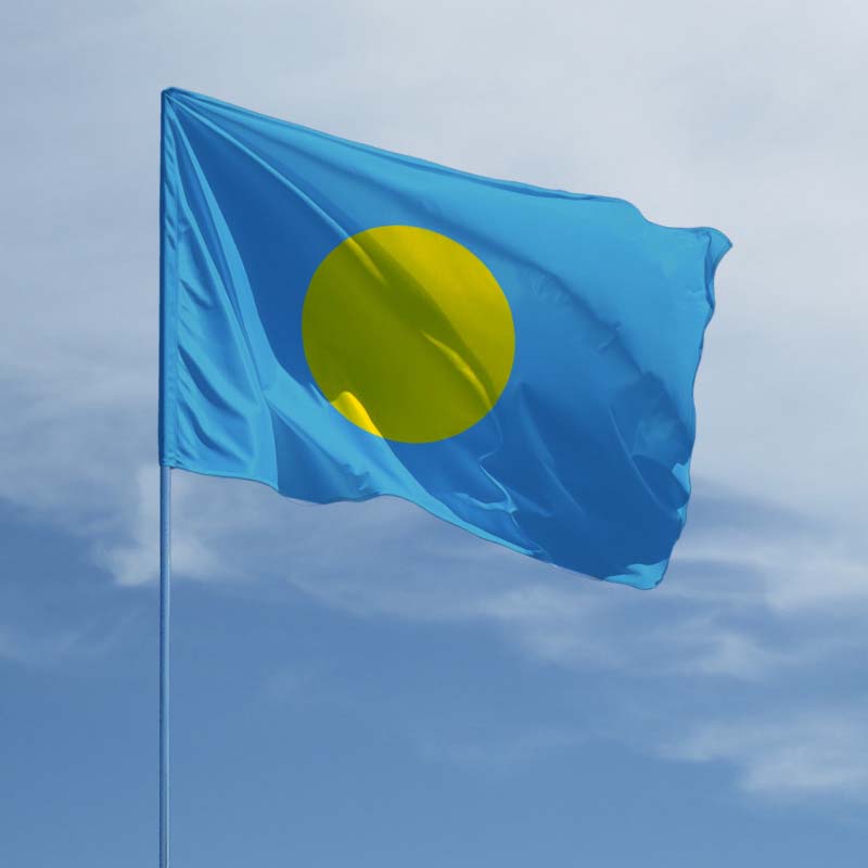 Кто еще, кроме нас? У каких стран тоже сине-желтые флаги и что они означают