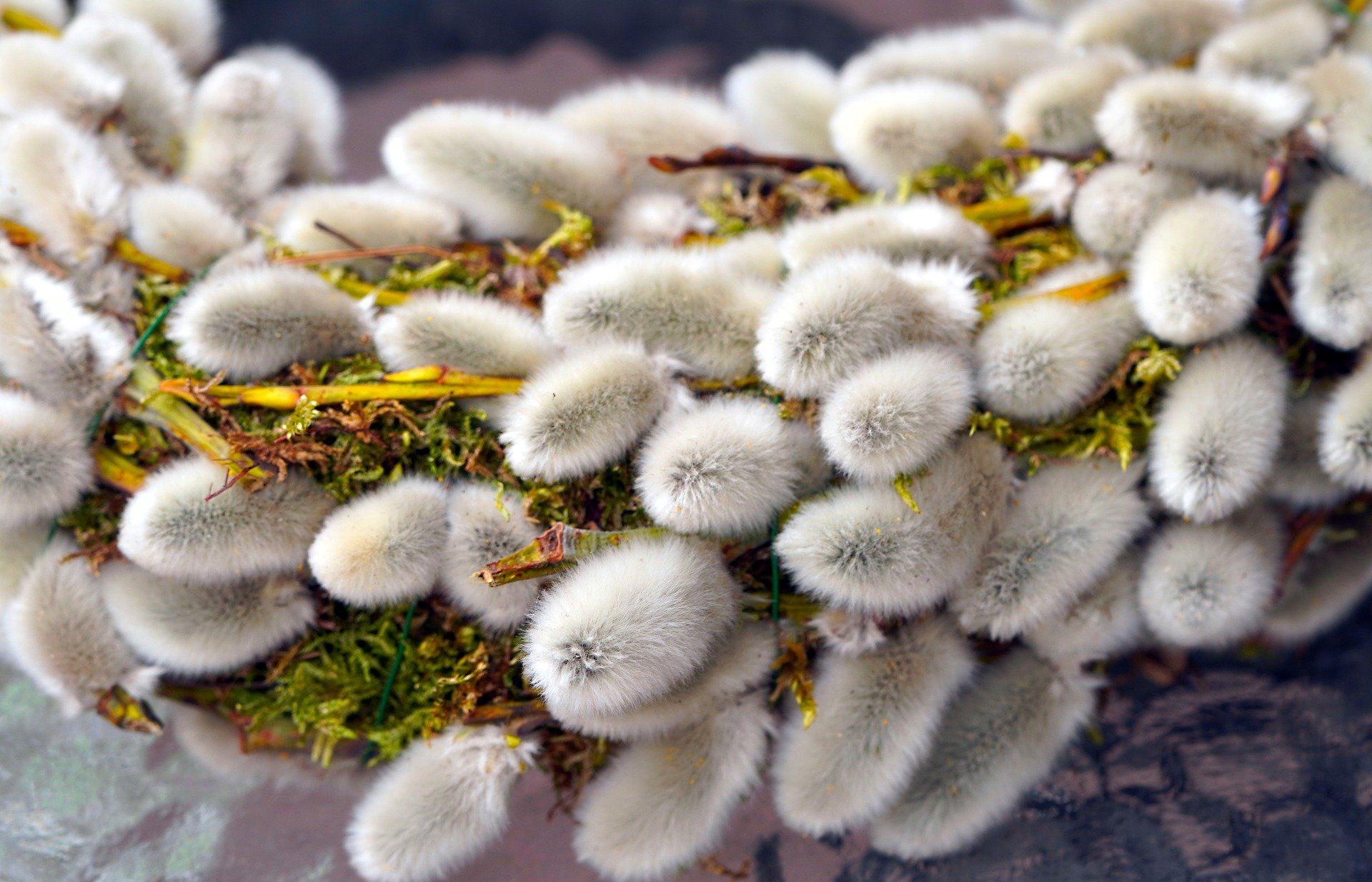 Найкрасивіші вітання в картинках і СМС з Вербною неділею, аби порадувати рідних і близьких