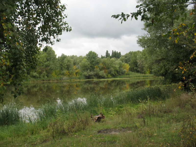 Київські забудовники хочуть знищити Галерний острів із "Лісом орхідей": розгорається скандал