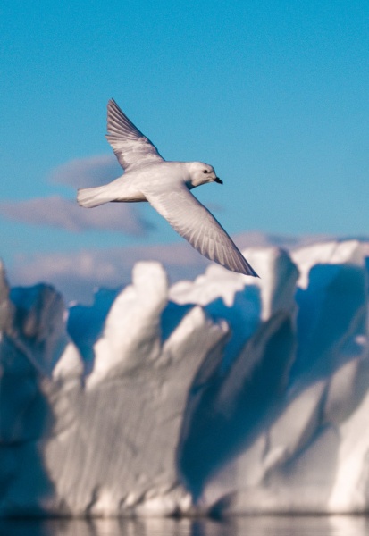 "Якщо Антарктида розтане – міста підуть під воду". Інтерв'ю з полярником про роботу на краю світу
