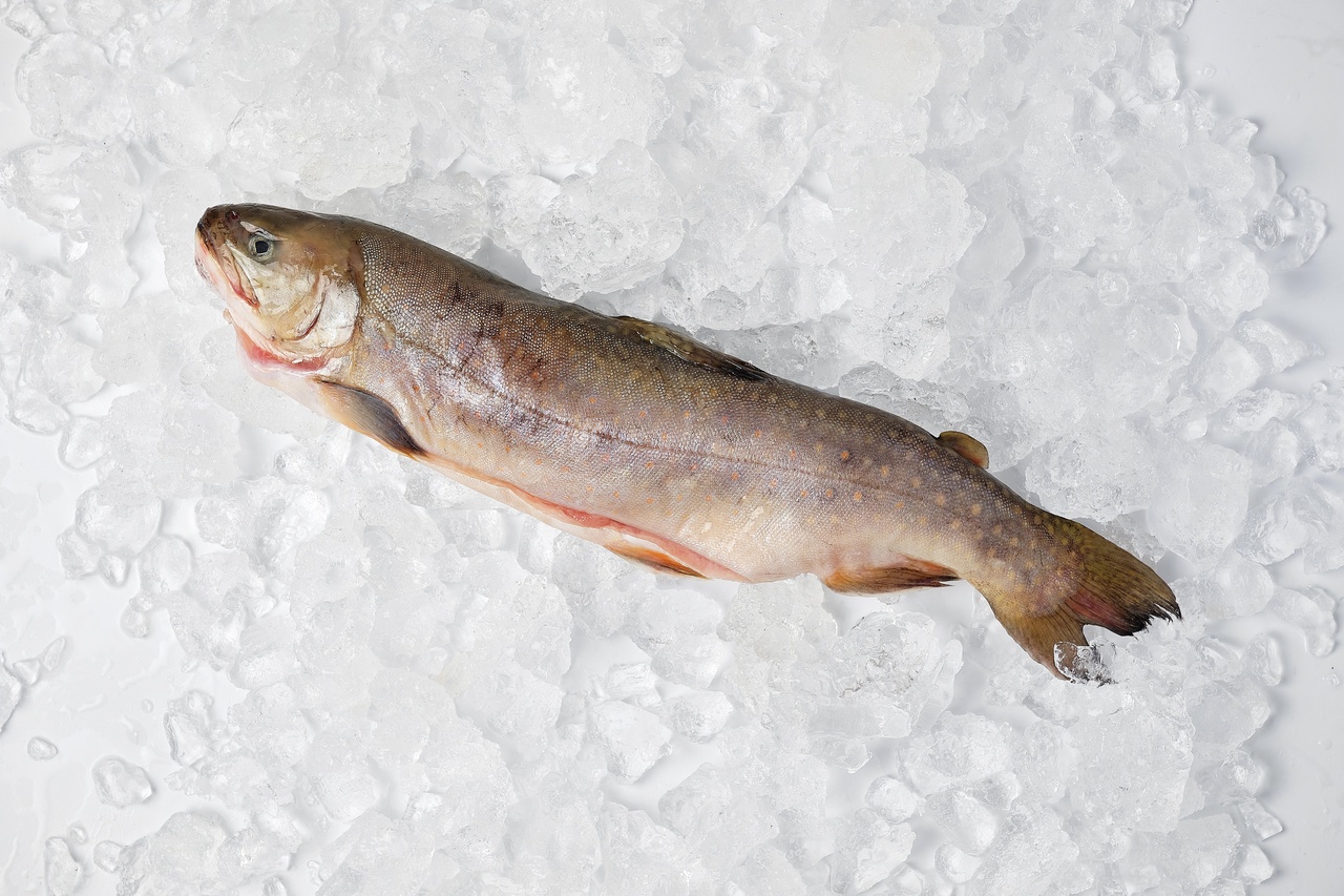 Названо 5 найкорисніших риб, які треба їсти всім