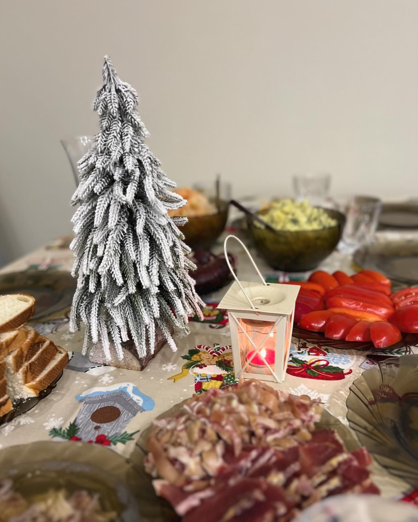 Как звезды отметили Новый год 2024: Мирошниченко, Осадчая, Квиткова и другие (фото)