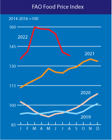 Світові ціни на продовольство знижуються п'ятий місяць поспіль: що подешевшало в серпні