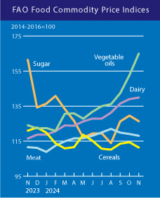 Світові ціни на вершкове масло оновили історичний максимум, - ООН