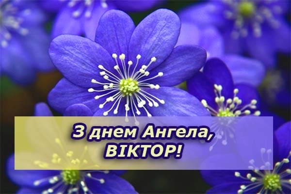 З Днем ангела Віктора: найкращі привітання для іменинників 11 вересня