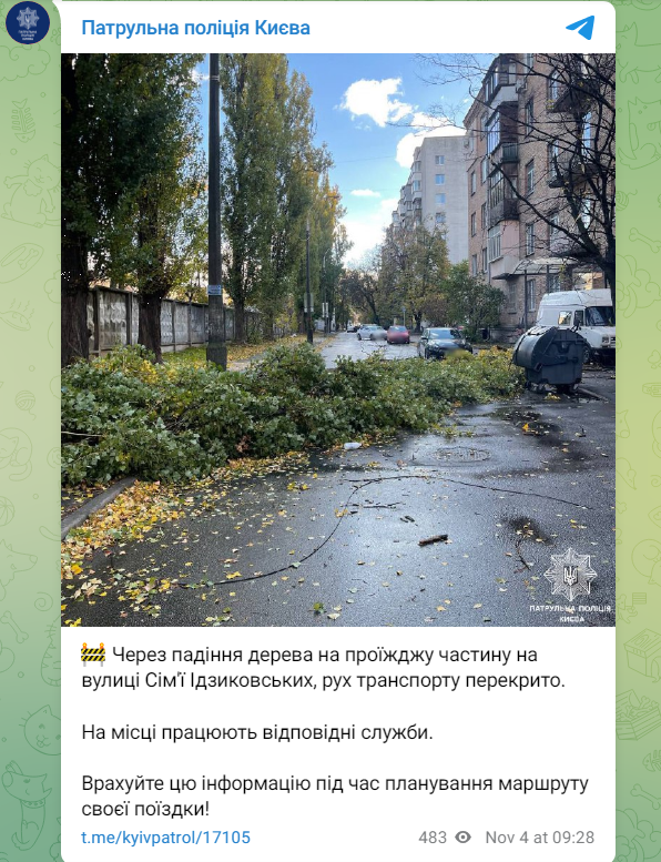 Сорванные крыши и поваленные деревья: последствия непогоды в Киеве (фото, видео)