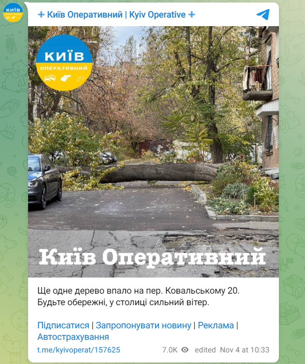 Сорванные крыши и поваленные деревья: последствия непогоды в Киеве (фото, видео)