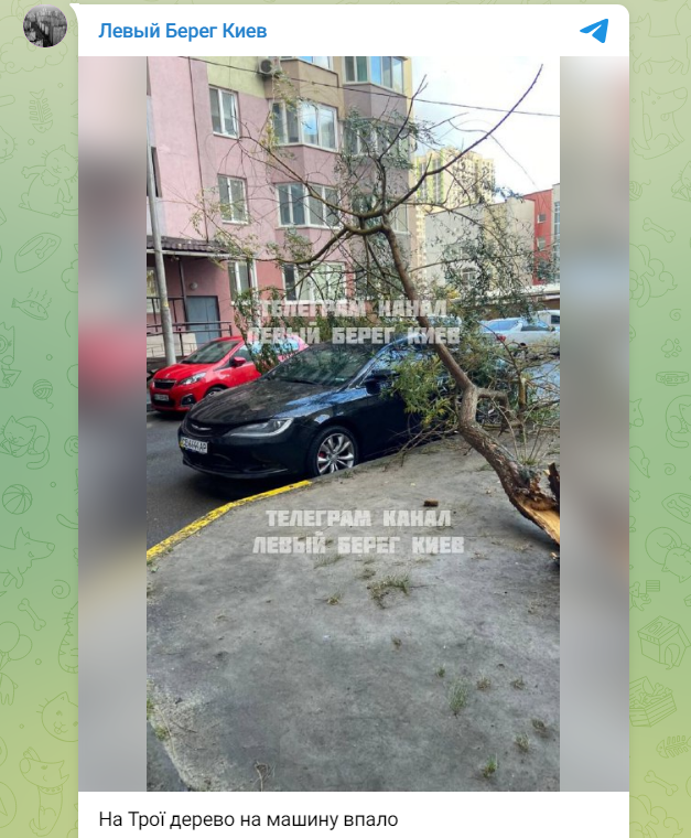 Сорванные крыши и поваленные деревья: последствия непогоды в Киеве (фото, видео)