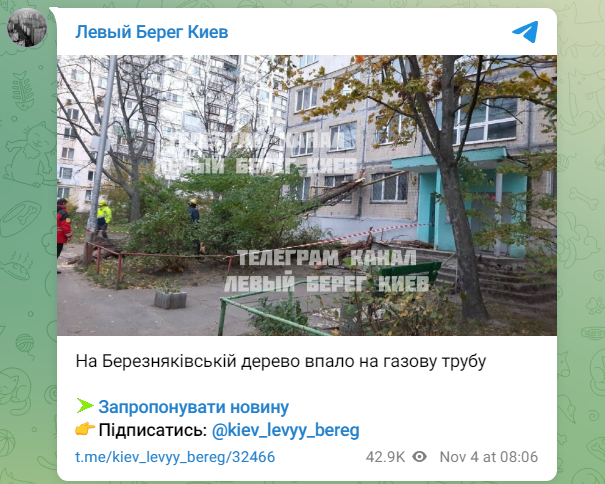 Сорванные крыши и поваленные деревья: последствия непогоды в Киеве (фото, видео)