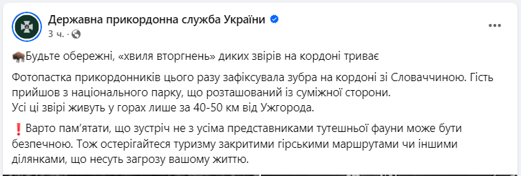 Навіть зубр. Українців попередили про &quot;хвилю вторгнень&quot; диких звірів на кордоні (фото)
