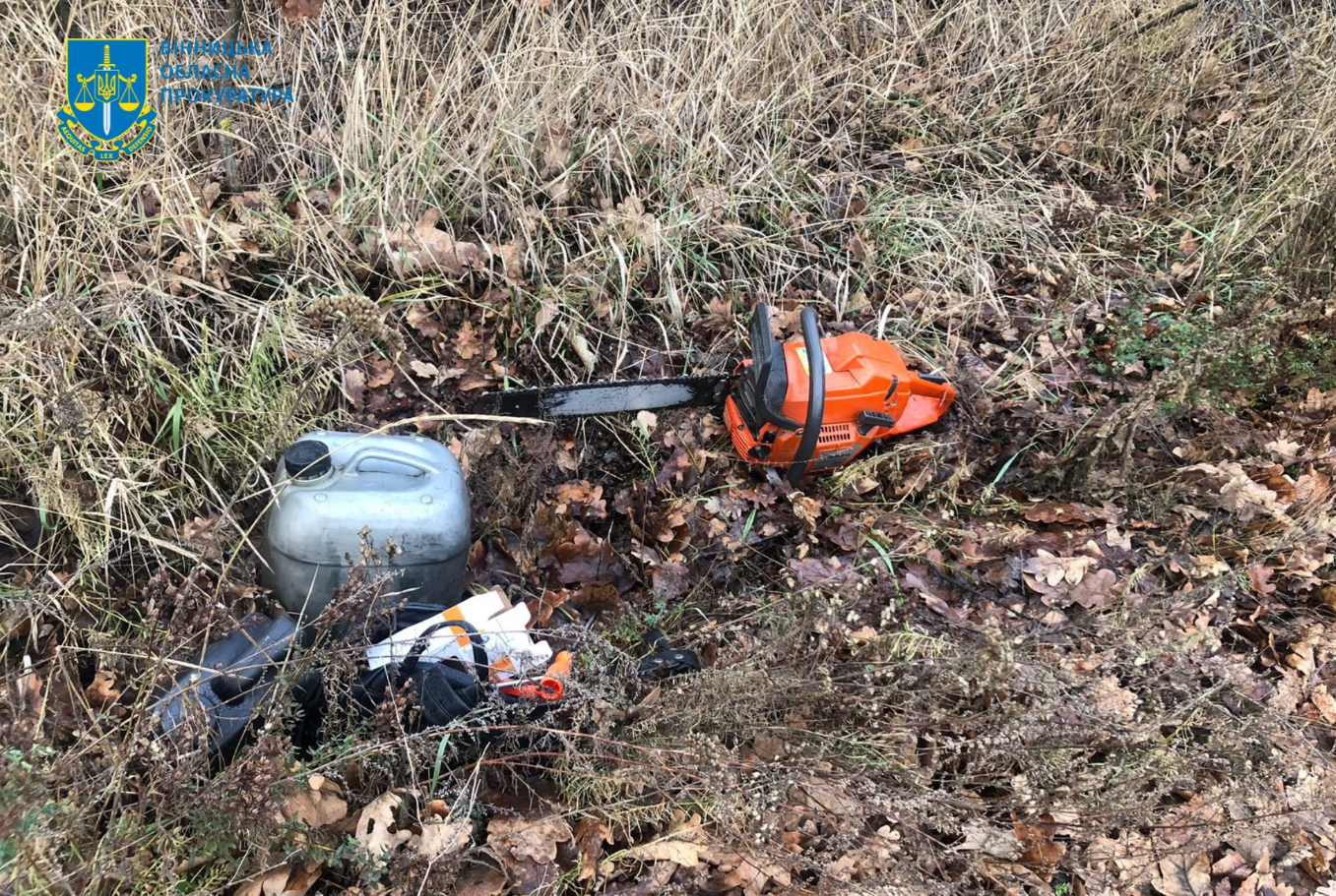 В Винницкой области строго наказали &quot;черных&quot; лесорубов: каков приговор суда