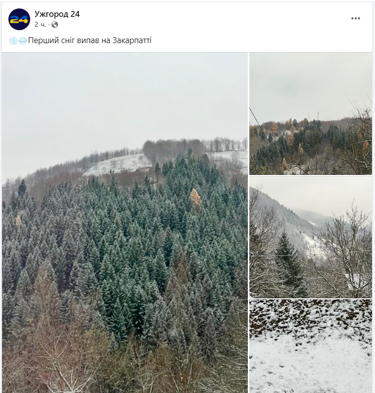 Деякі регіони України почало засипати снігом (фото, відео)