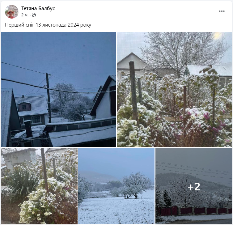 Деякі регіони України почало засипати снігом (фото, відео)