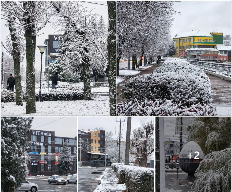 Украину продолжает засыпать снегом: где выпало больше всего (фото, видео)