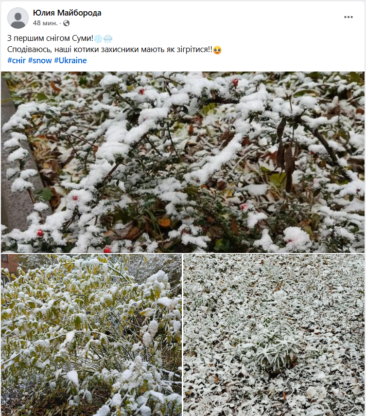 Украину продолжает засыпать снегом: где выпало больше всего (фото, видео)