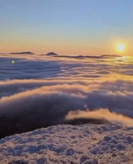"Карпатское море". В сети показали редкое атмосферное явление на вершине горы (видео)