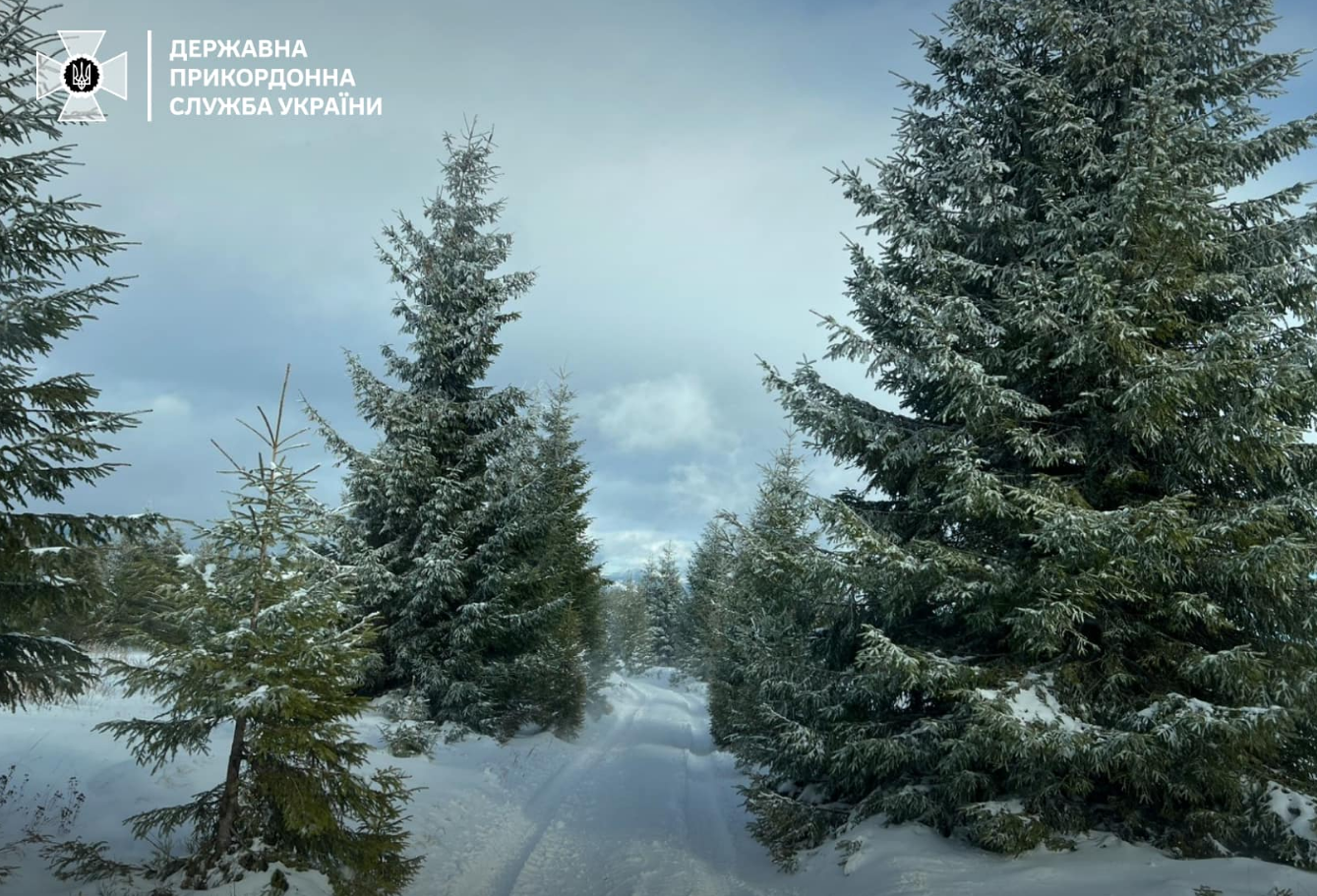 На границе с Румынией насыпало уже до 60 см снега: потрясающие фото