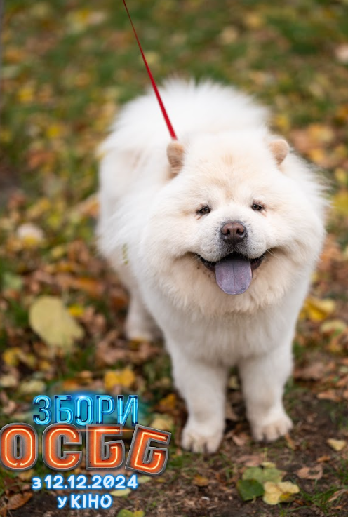 &quot;Збори ОСББ&quot; з Лебігою та Сумською. Дивіться перший трейлер новорічної комедії