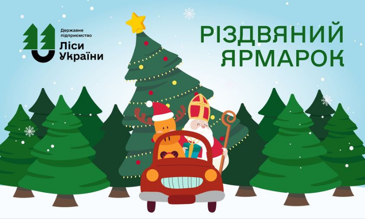 Цены удивят? Сколько будут стоить &quot;живые&quot; елки в этом году