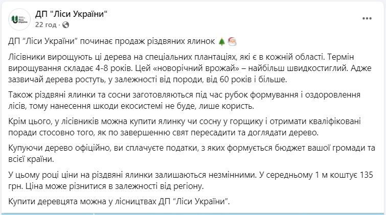Цены удивят? Сколько будут стоить &quot;живые&quot; елки в этом году