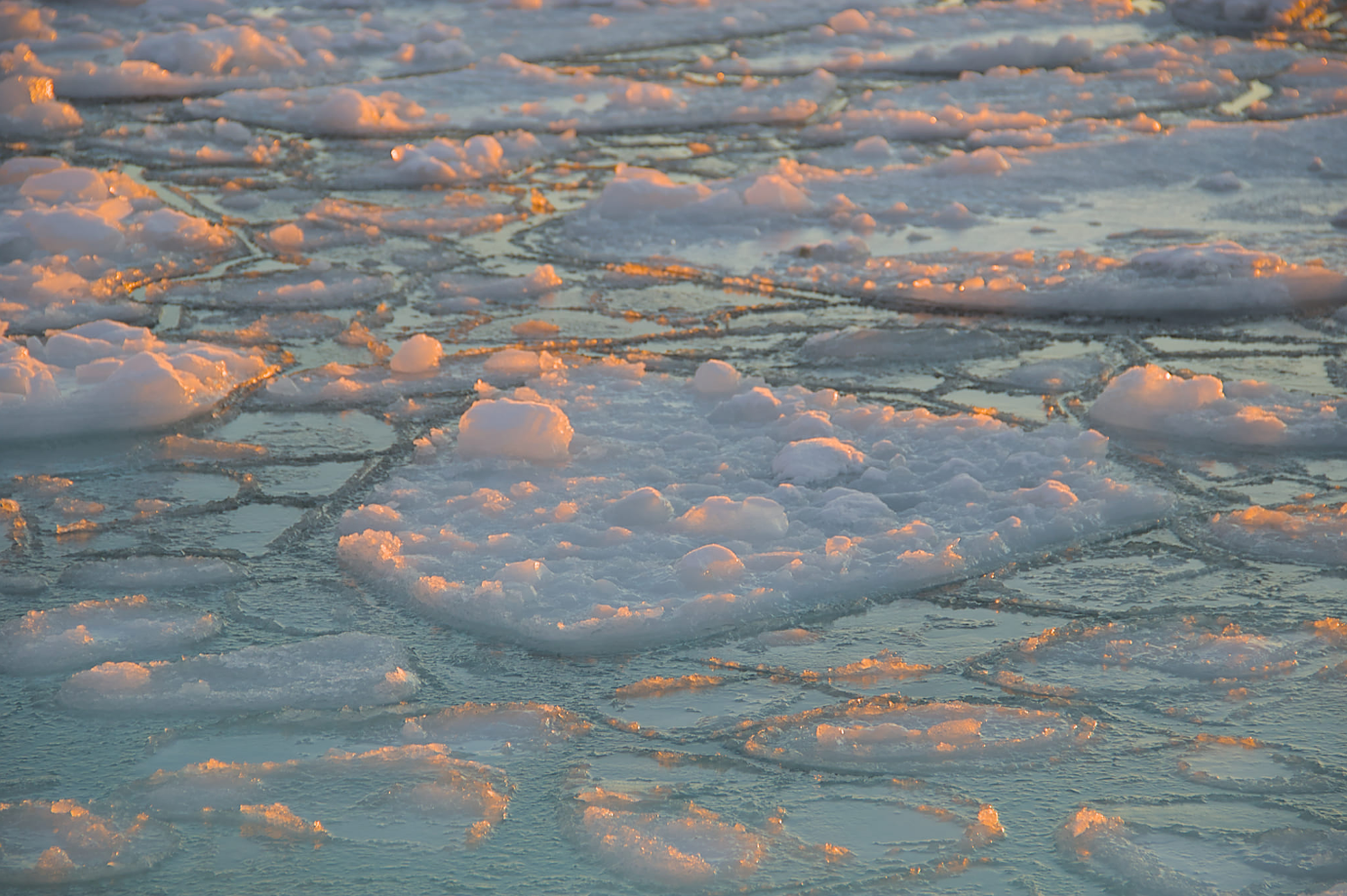 Самая холодная за 6 лет. Как прошла полярная зима возле &quot;Академика Вернадского&quot; (фото)