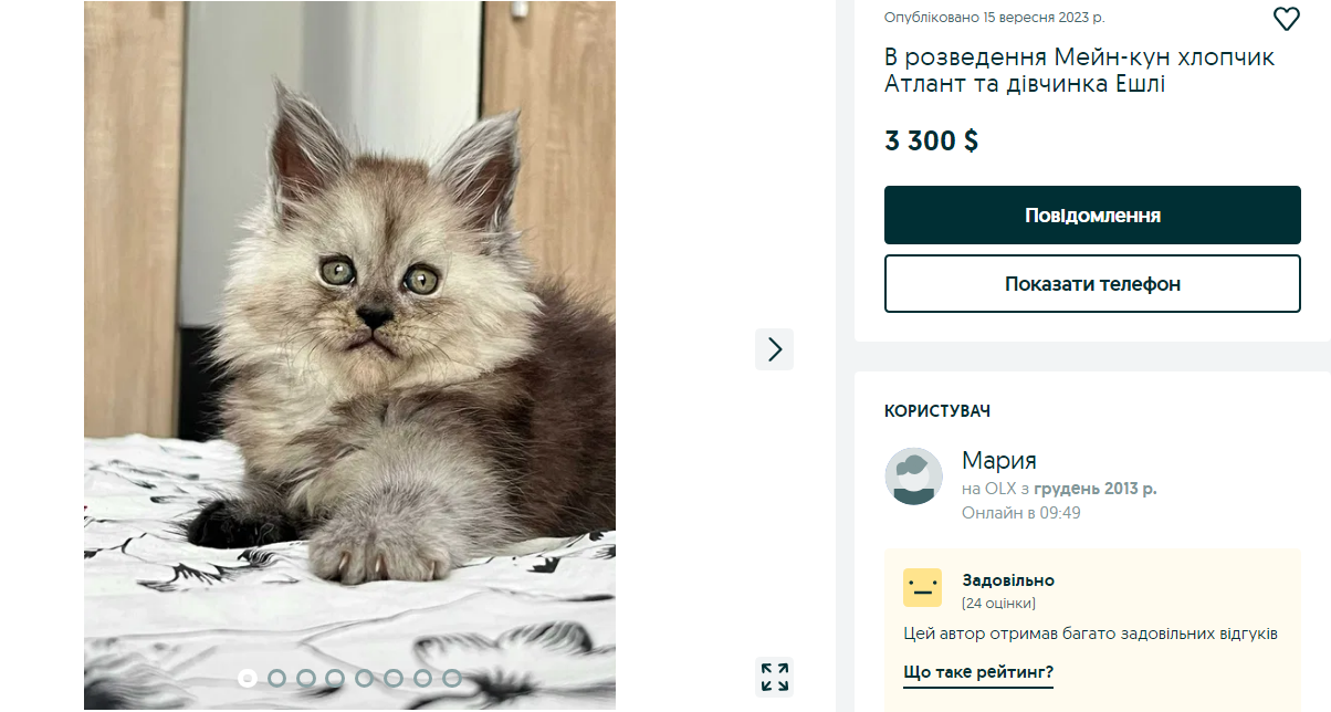 Эксклюзив или фрики? 10 пород кошек, за которые украинцы готовы отдать 200 тысяч