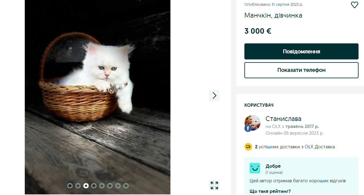 Эксклюзив или фрики? 10 пород кошек, за которые украинцы готовы отдать 200 тысяч