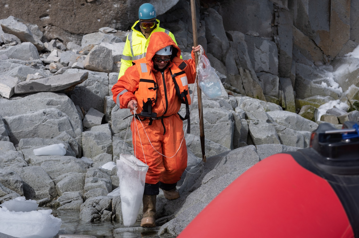 Украинские полярники рассказали, как &quot;охотились&quot; на микропластик в Антарктике (фото)