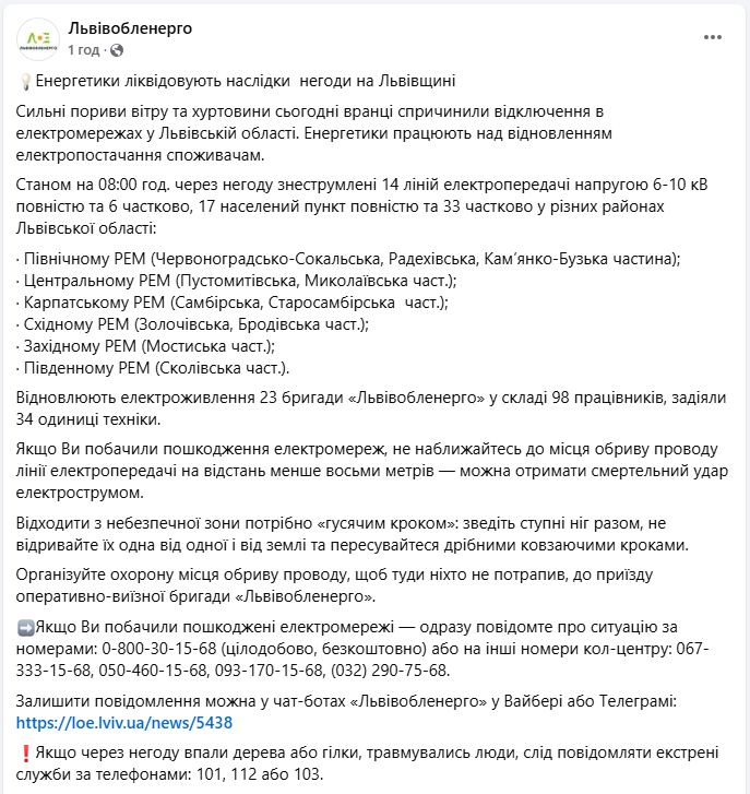 Негода паралізувала Львівську область: де зникло світло й що робити при обірваних дротах