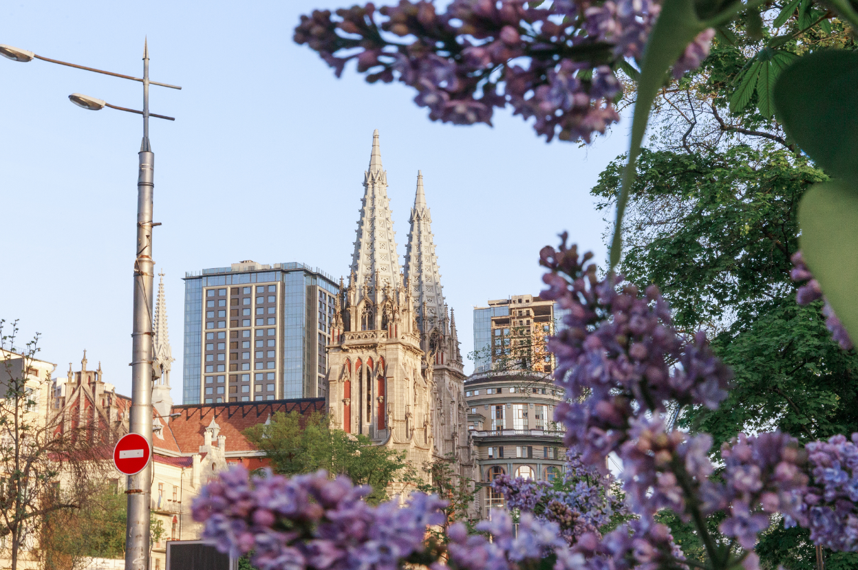 Где в Киеве расцвела сирень: лучшие места для прогулок и фото