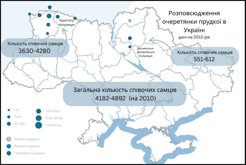 Редкая певчая птица исчезает: в Украине начинают миссию спасения