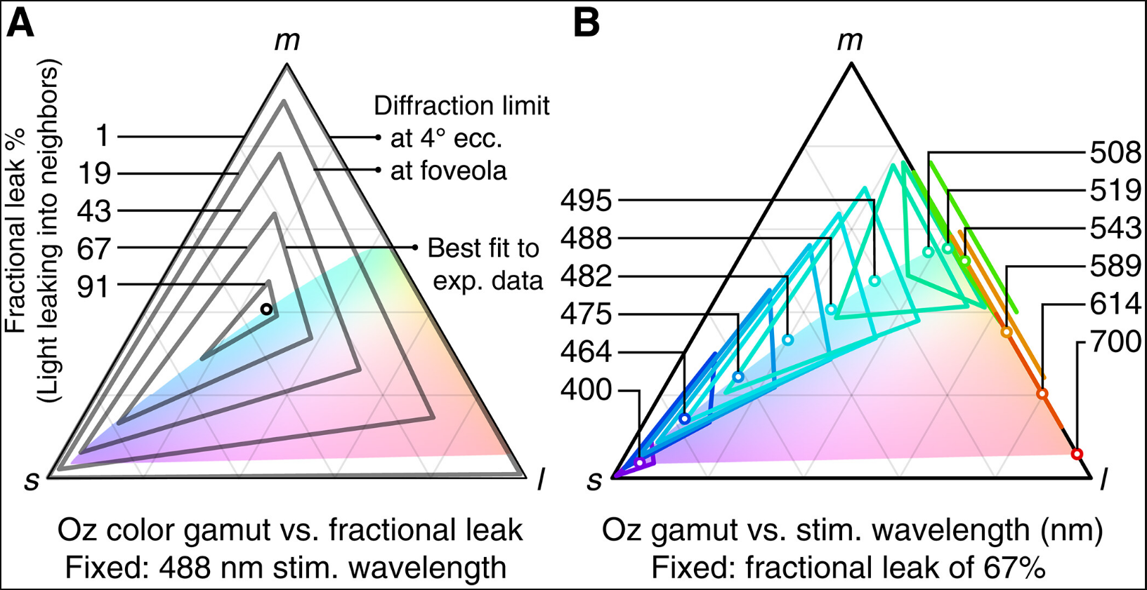 Що таке &quot;оло&quot;? Вчені заявили про новий колір, якого світ ще не бачив