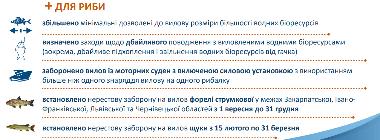 Нові штрафи для українців, які люблять рибалити. Що змінилося