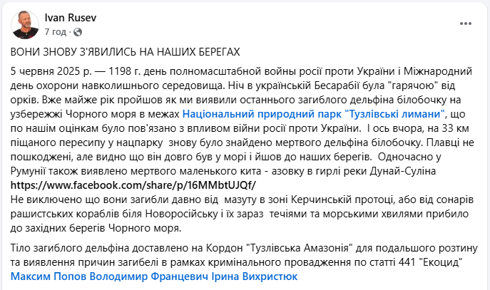 Экоцид? В нацпарке в Одесской области нашли мазут, погибших рыб и дельфина