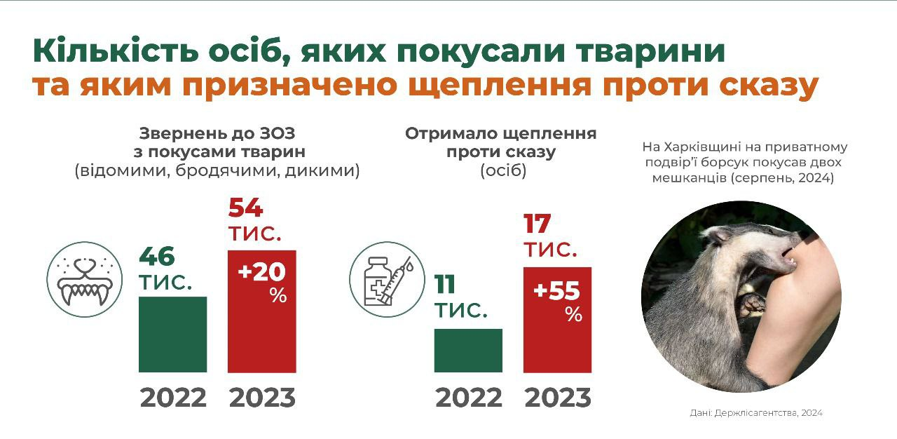 Бешенство, клещи и хищники в городе: почему ежей лучше не трогать, а лисы – опасны