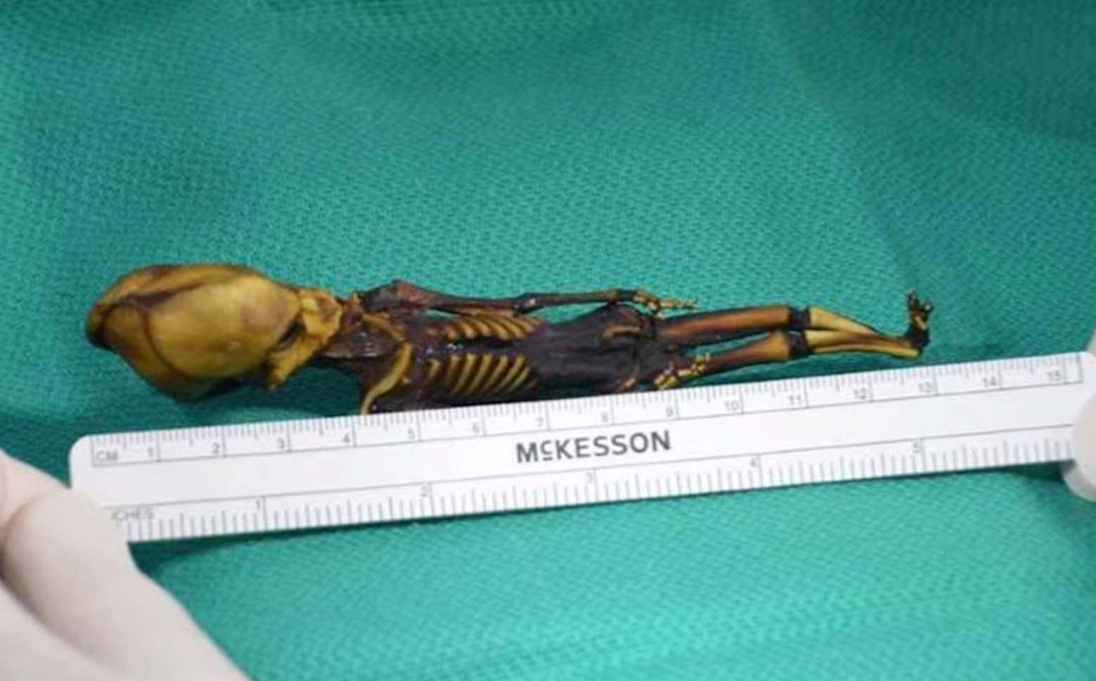 &quot;Гуманоид Атакамы&quot;. Как выглядит загадочная крошечная мумия, найденная учеными, и что о ней известно