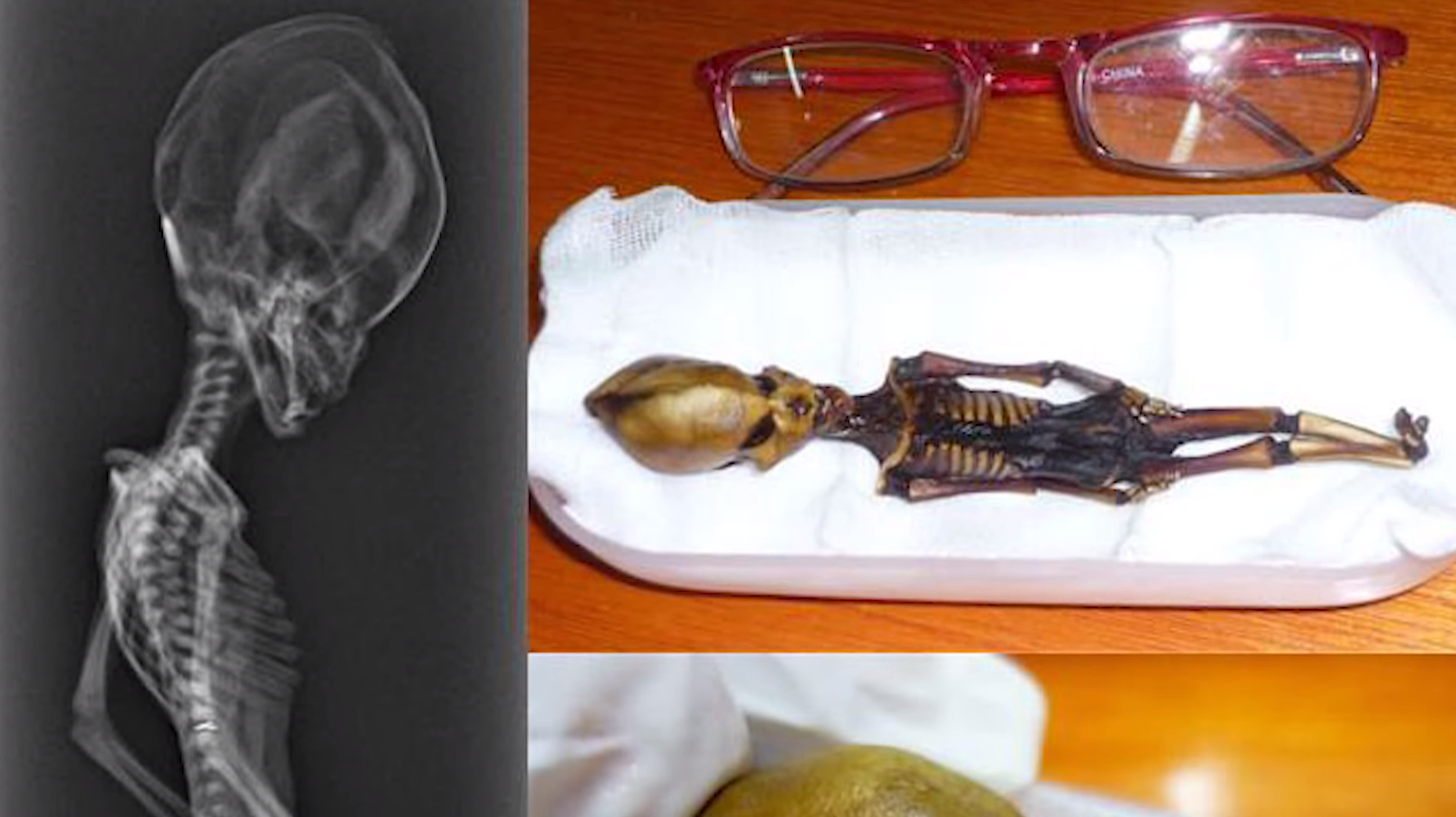 &quot;Гуманоид Атакамы&quot;. Как выглядит загадочная крошечная мумия, найденная учеными, и что о ней известно