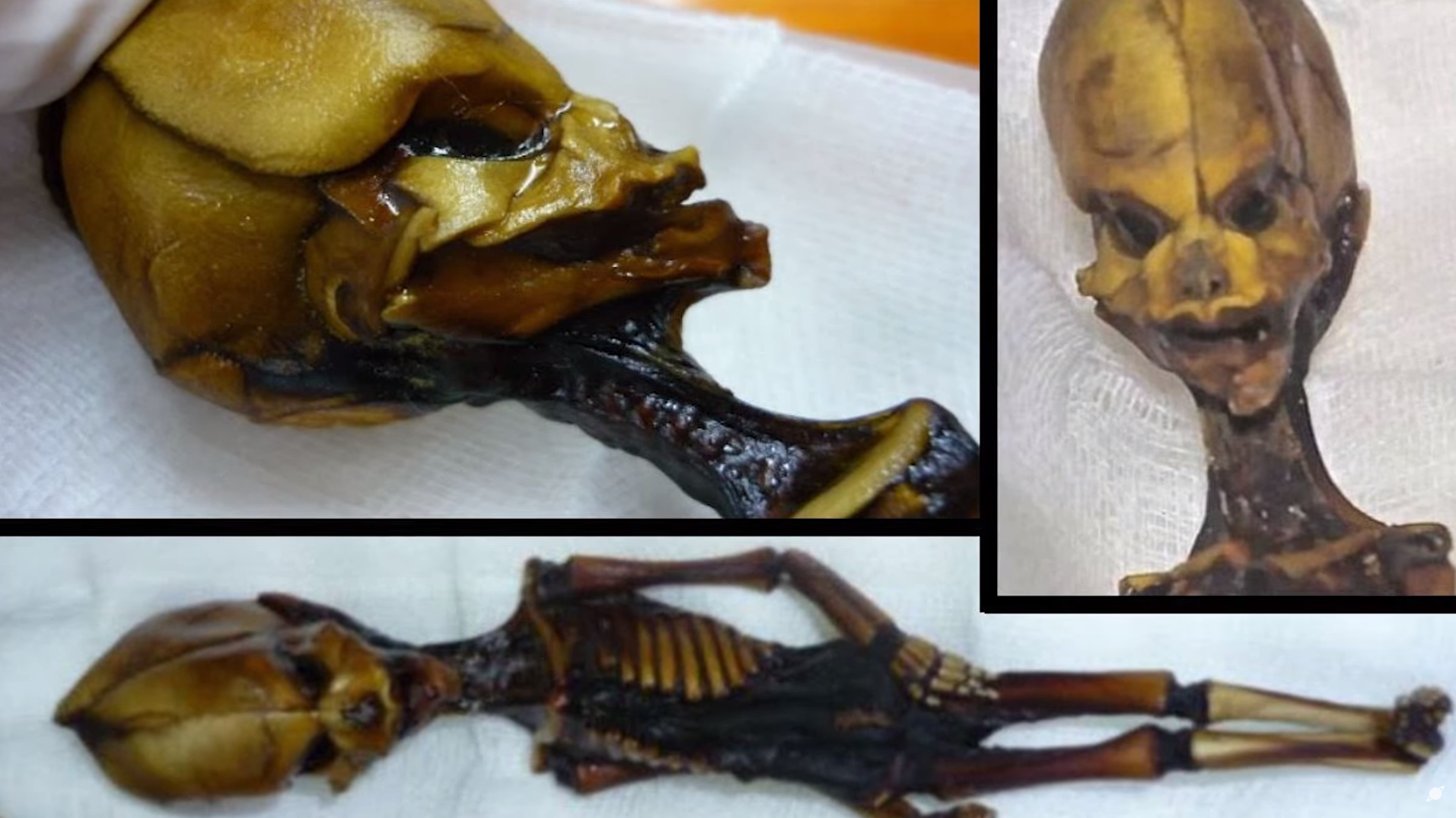&quot;Гуманоид Атакамы&quot;. Как выглядит загадочная крошечная мумия, найденная учеными, и что о ней известно